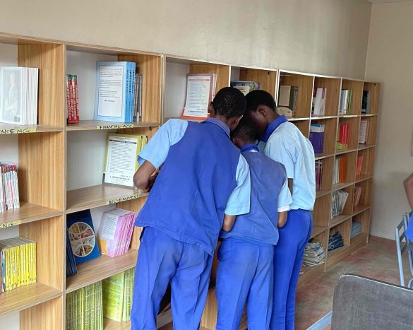 After - Library Shelves