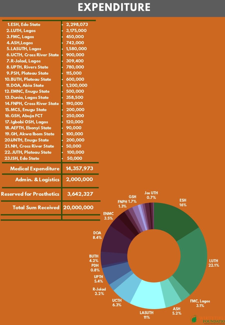 Project HSS Executive Summary_page-0008